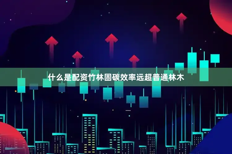 什么是配资竹林固碳效率远超普通林木